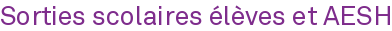 Rubrique Sorties scolaires élèves et <span class="caps">AESH</span>
