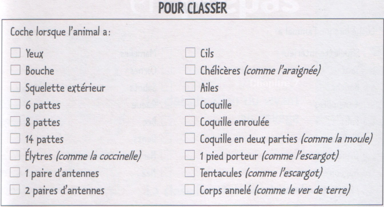 Evaluation Cm1 Classification Des Aliments Le Cycle 2