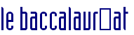 le baccalaurat